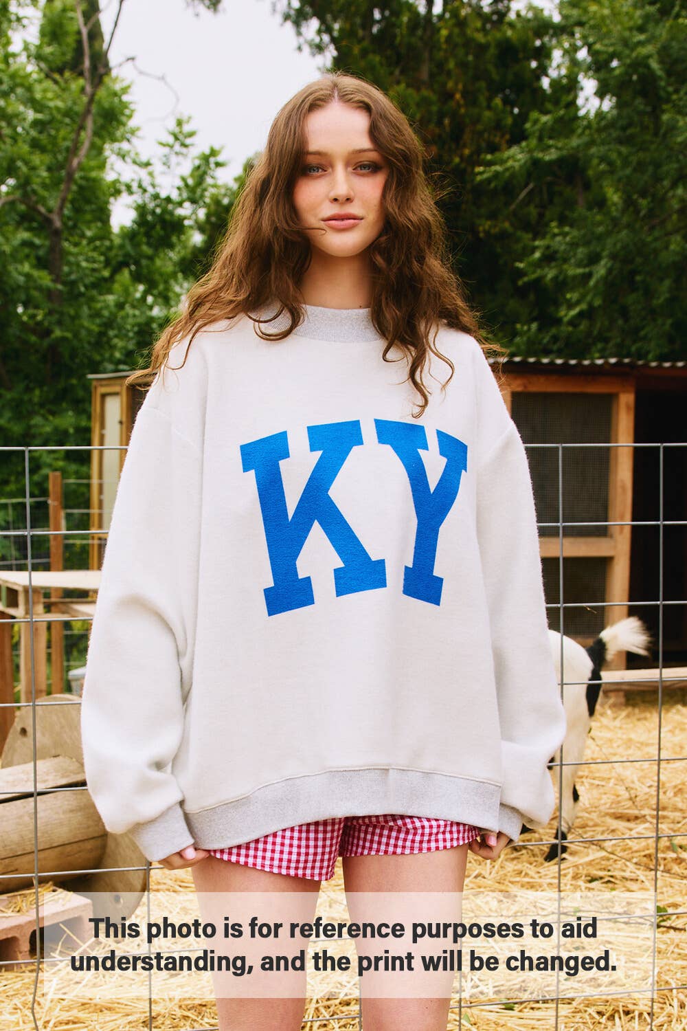 IT2594-NEBRASKA 'NEBRASKA & NE' Print Sweatshirt: HEATHER GREY / S/M-L/XL (3-3)