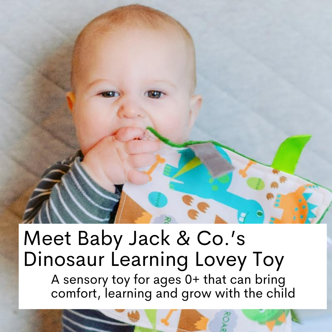 Dinosaur Learning Lovey Crinkle Tag Sensory Toy 8"x8"