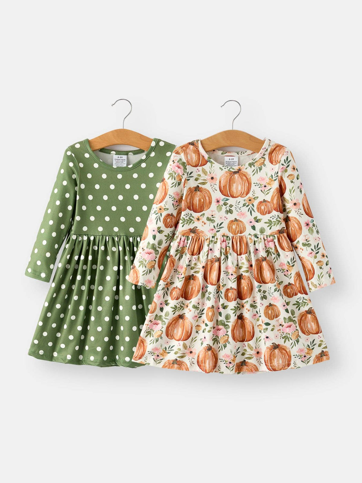 Fall Thanksgiving & Halloween Pumpkin Floral Print Long Sleeve Dress（2pcs）: 1/2Y