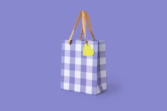 Blue Gingham Gift Bag