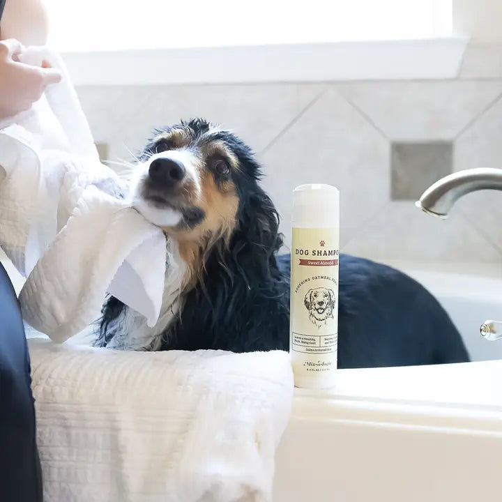 Dog Shampoo