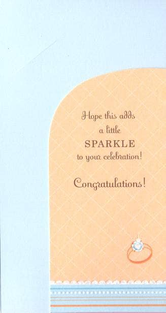 Wedding Engagement Moneyholder