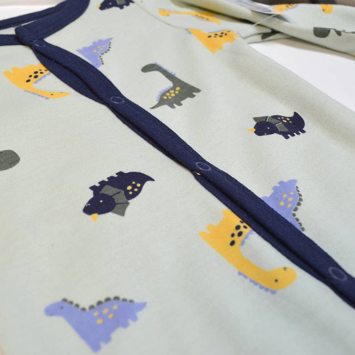 Dinosaurs Pajamas