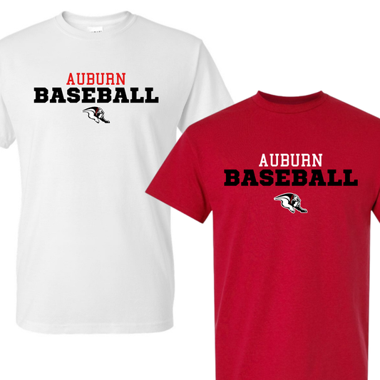 Auburn Baseball