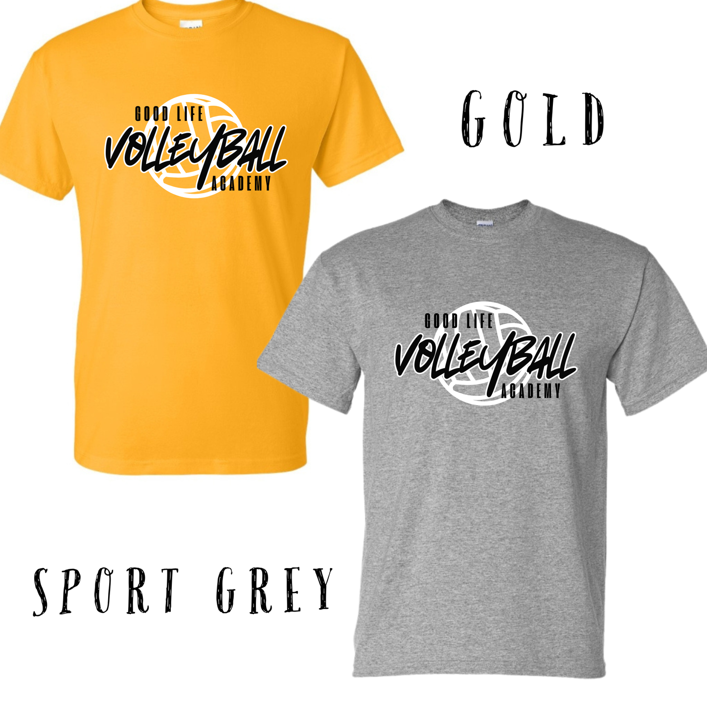 Youth Good Life Volleyball Academy