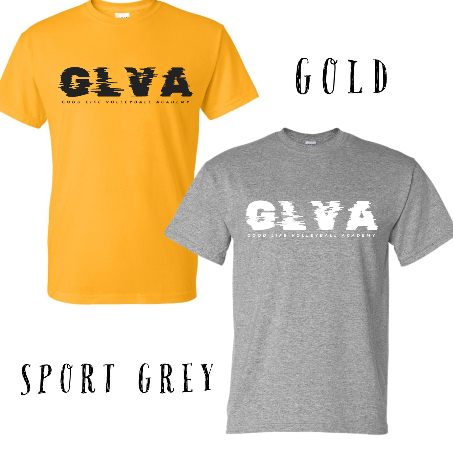 Good Life Volleyball Academy