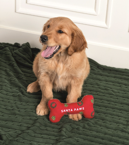 Embroidered Dog Bone Toys