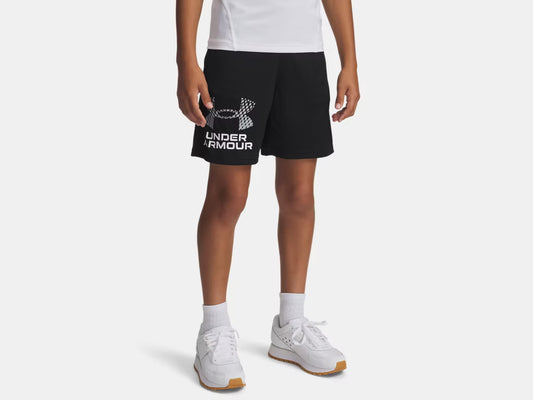 UA Tech™ Logo Boys' Shorts