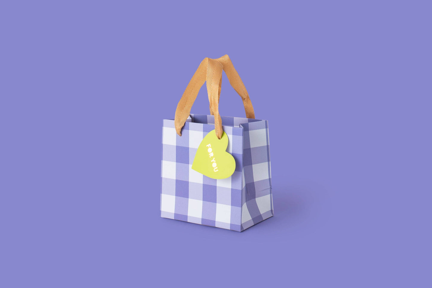 Blue Gingham Gift Bag
