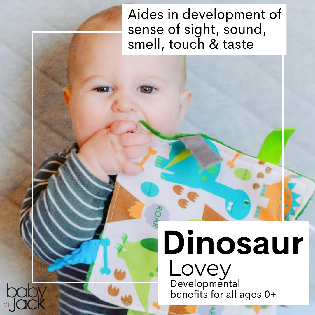Dinosaur Learning Lovey Crinkle Tag Sensory Toy 8"x8"