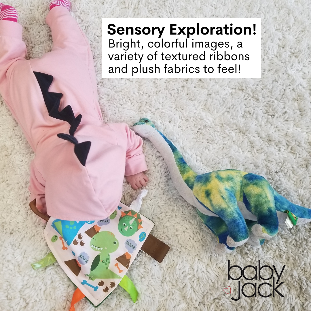 Dinosaur Learning Lovey Crinkle Tag Sensory Toy 8"x8"