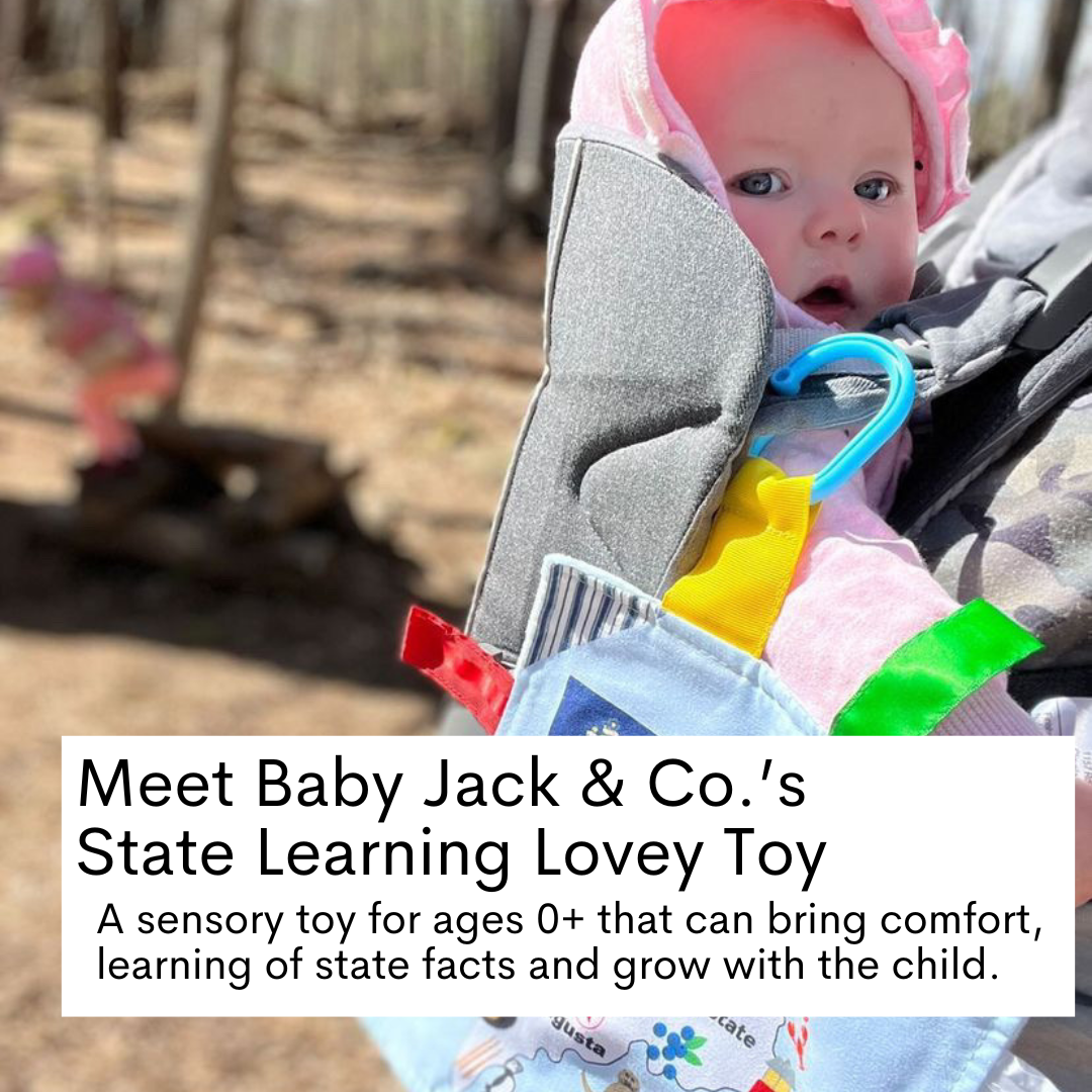 Missouri State Baby Learning Crinkle Tag Square 8"x 8" Toy