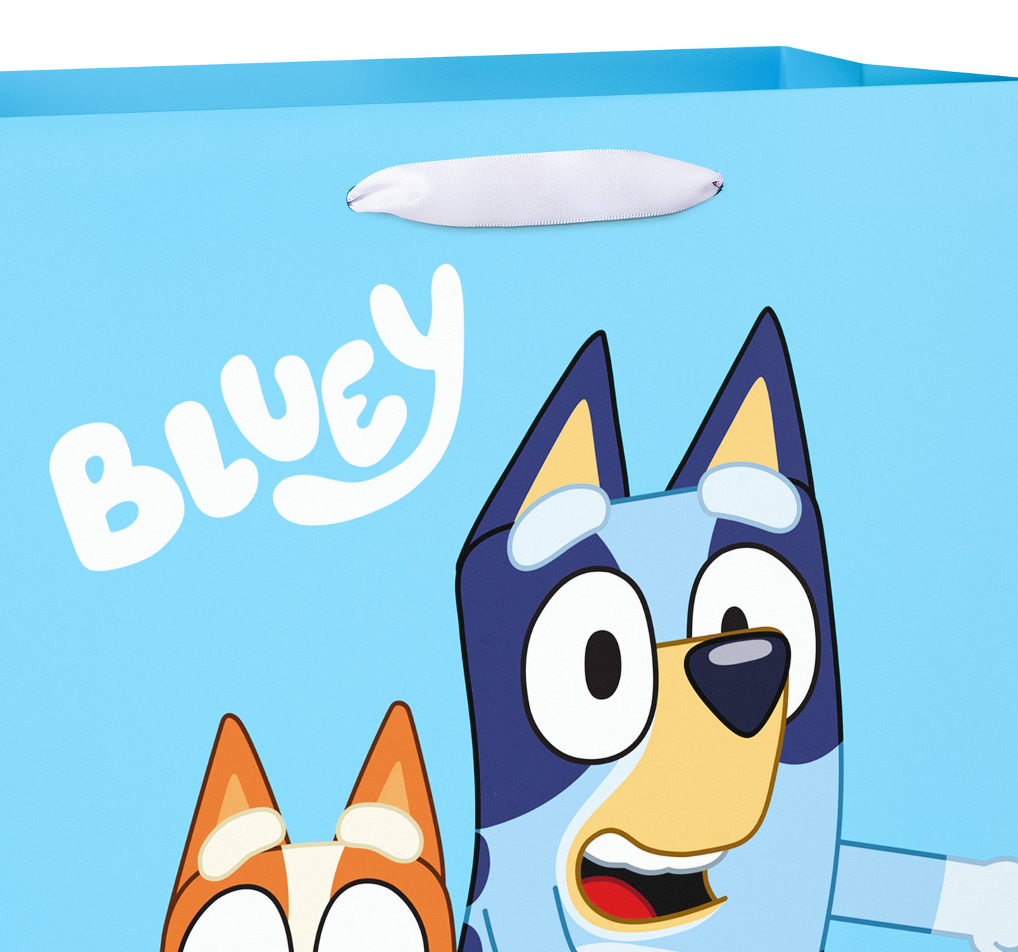 Large Bluey and Friends Gift Bag