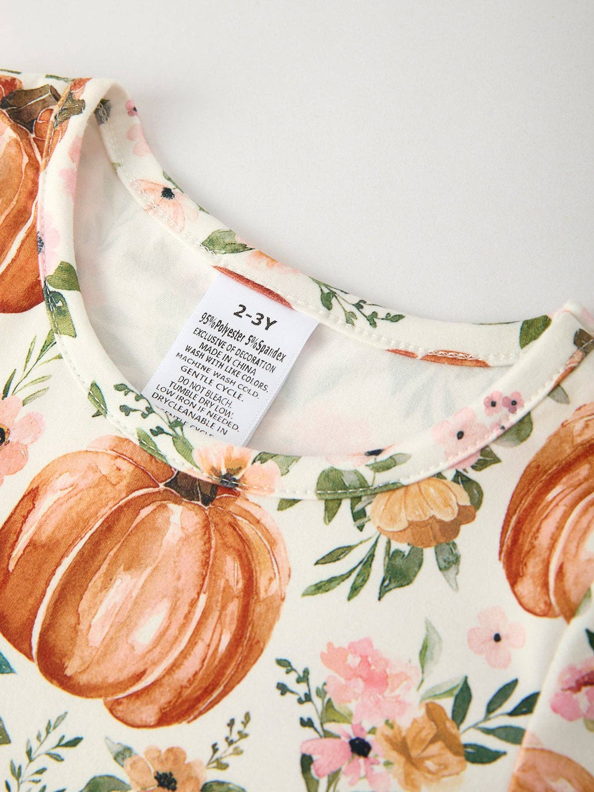 Fall Thanksgiving & Halloween Pumpkin Floral Print Long Sleeve Dress（2pcs）: 1/2Y
