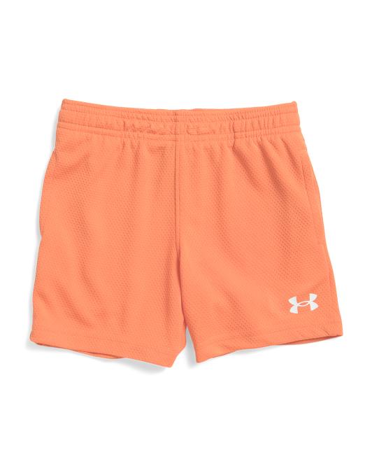 UNDER ARMOUR Toddler Boys Tech Mesh Shorts