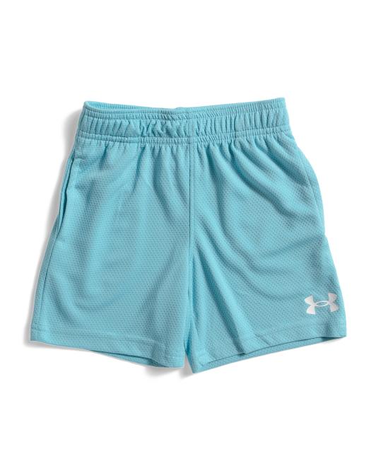 UNDER ARMOUR Little Boys Tech Mesh Shorts